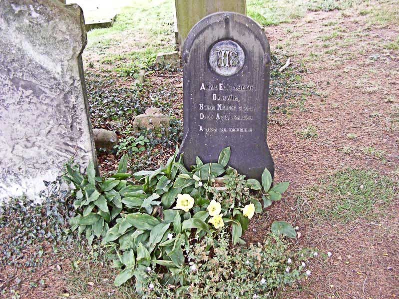 Grave of Ann Elizabeth Darwin