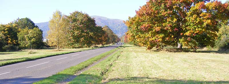 Panorama of Guarlford Road