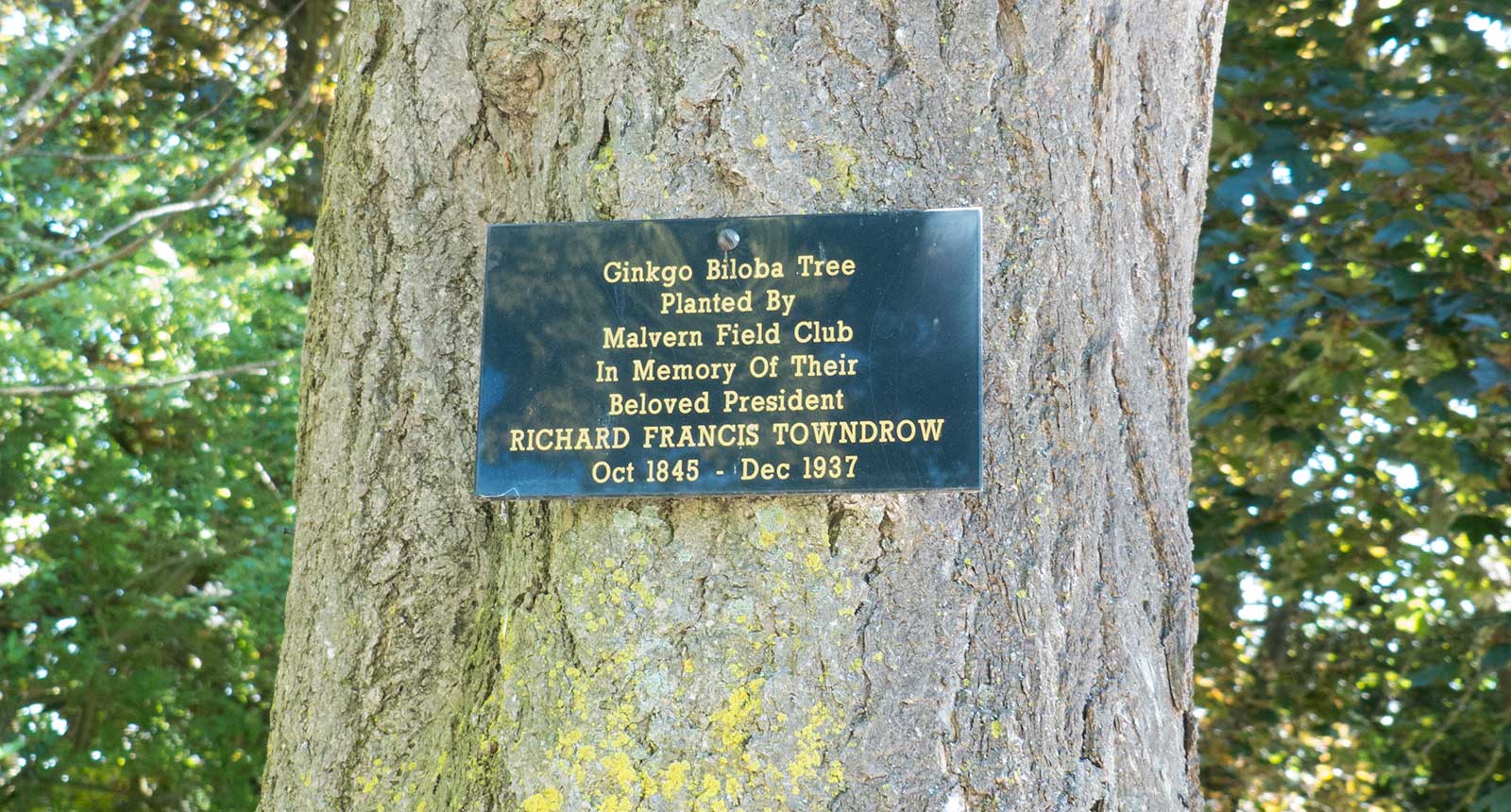 Towndrow plaque